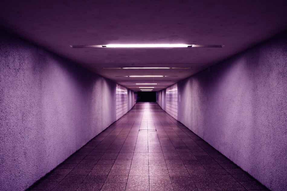 purple drank walls