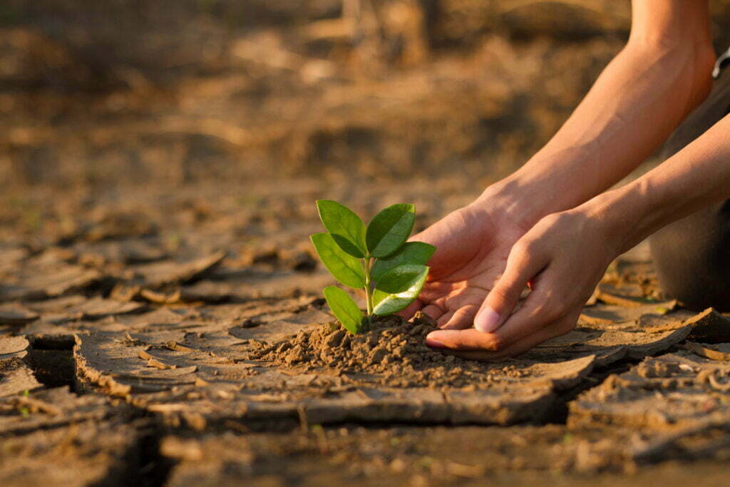 recovery and growth