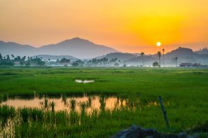 inattentiveness adhd