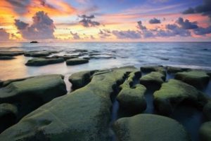 mental health in university